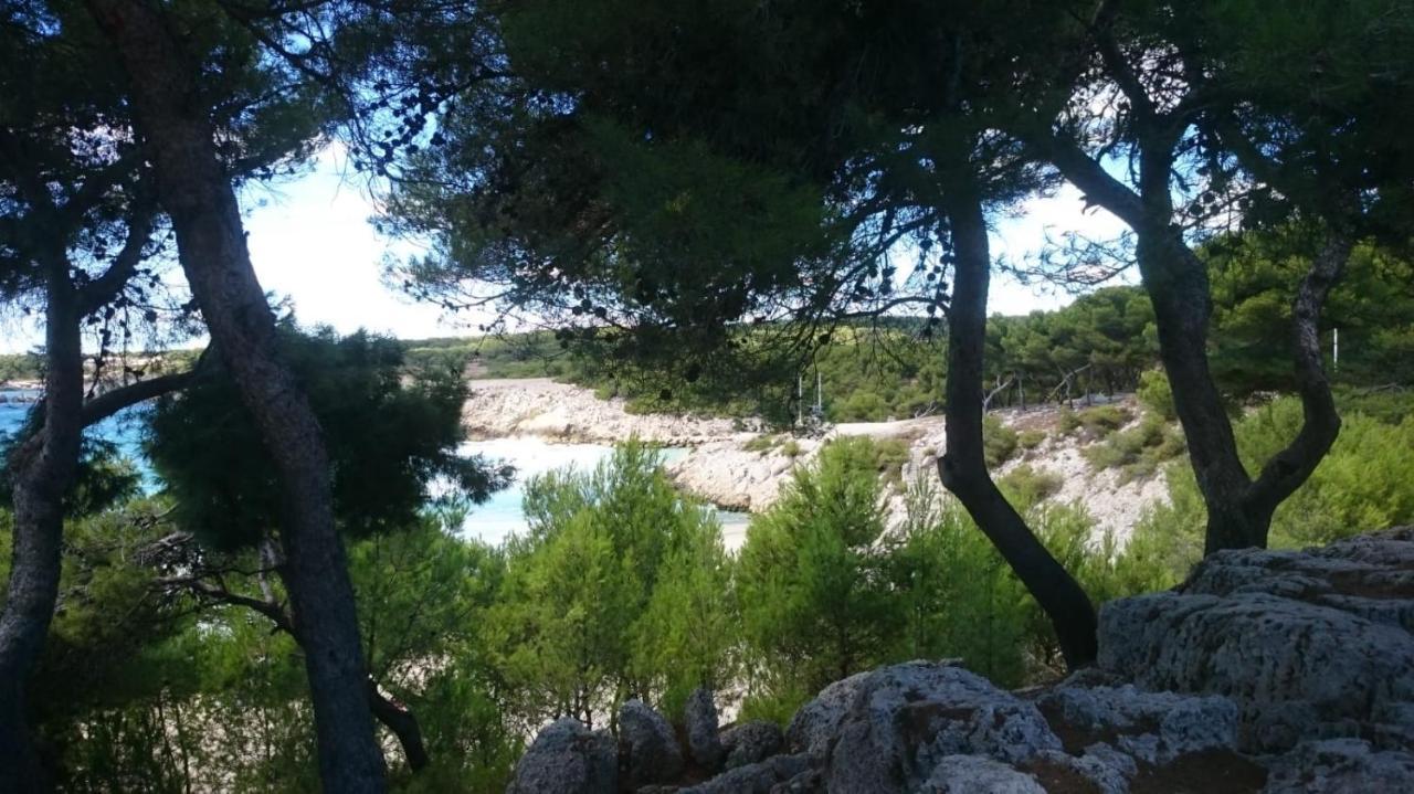 Appartement Vue Mer Le Chant Des Cigales Sausset-les-Pins Dış mekan fotoğraf